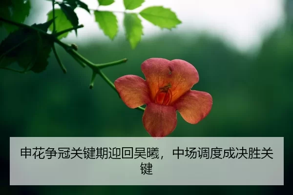 shen-hua-zheng-guan-guan-jian-qi-ying-hui-wu-xi-zhong-chang-diao-du-cheng-jue-sheng-guan-jian-2-531.jpg