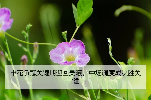 shen-hua-zheng-guan-guan-jian-qi-ying-hui-wu-xi-zhong-chang-diao-du-cheng-jue-sheng-guan-jian-3-865.jpg