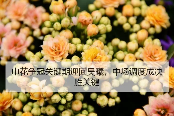申花争冠关键期迎回吴曦，中场调度成决胜关键