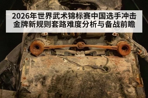 2026年世界武术锦标赛中国选手冲击金牌新规则套路难度分析与备战前瞻